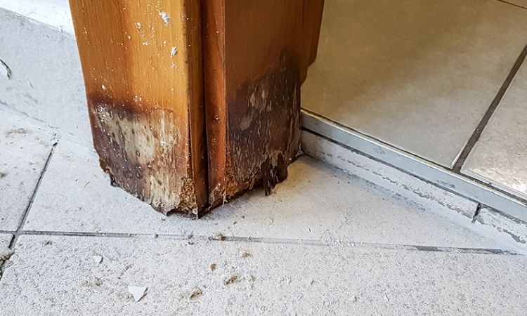 How to Repair a Damaged Wooden Toilet Door