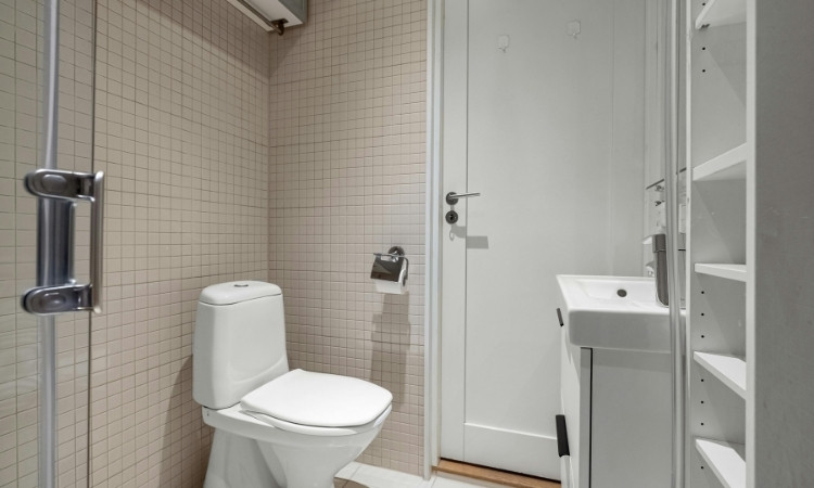 Maintain Your Bathroom Doors in Singapore